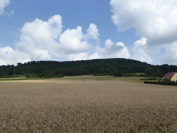 Blick auf den Buchberg