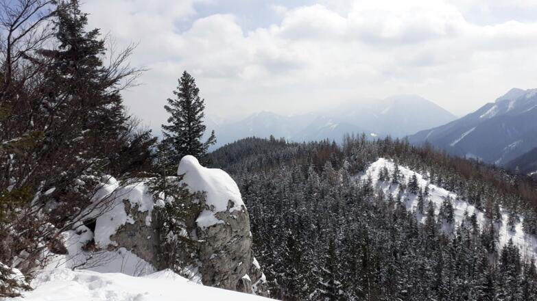 Schabenreitnerstein 1143m