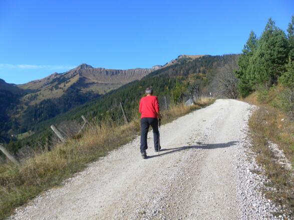 Retherkopf und Hochplatte vom Bründlalmweg
