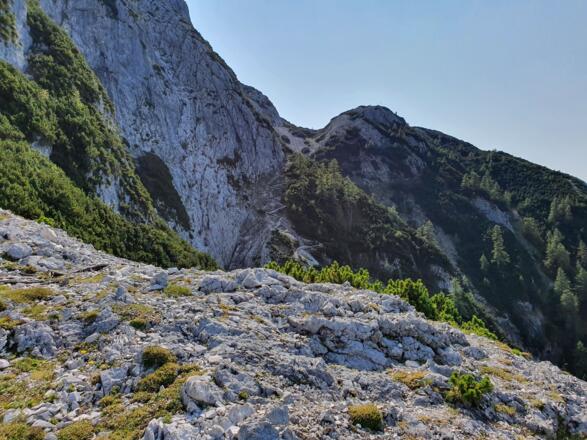 Blick auf den Lindenkopf