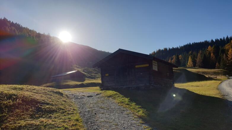 Start über schöne Almwiesen Richtung Obernberger See