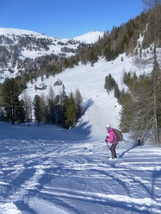Sauereggalm Abfahrt