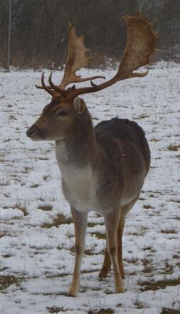 wir werden beobachtet :-)