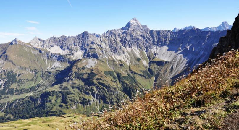 Panorama mit Hochvogel