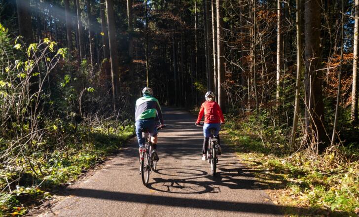 nette Fahrt durch herbstlichen Wald
