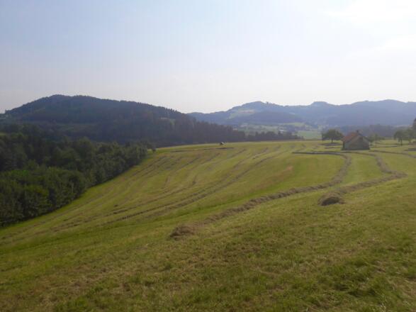 Aussicht vom Baierweg vor Obermühlbach