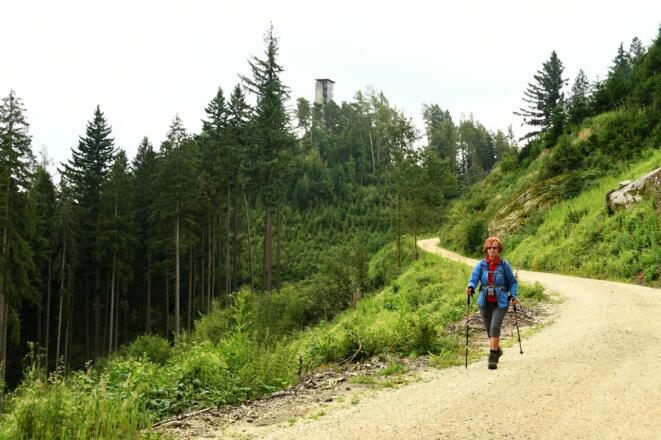 Der "Burgen-und Schlösserweg" begleitet uns bis nach Pierbach