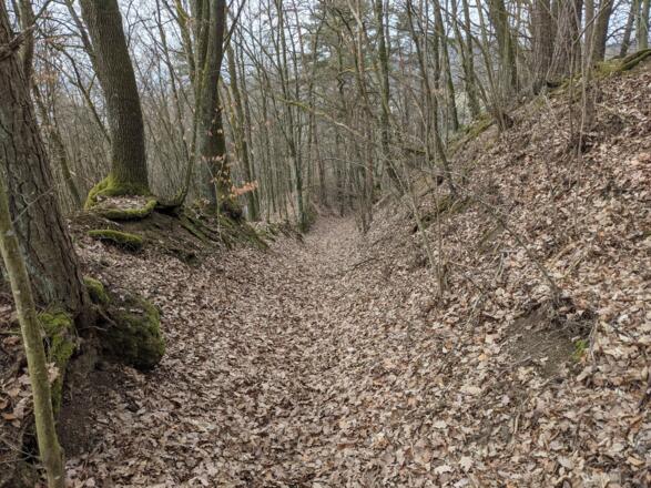 Hohlweg zurück zur Straße