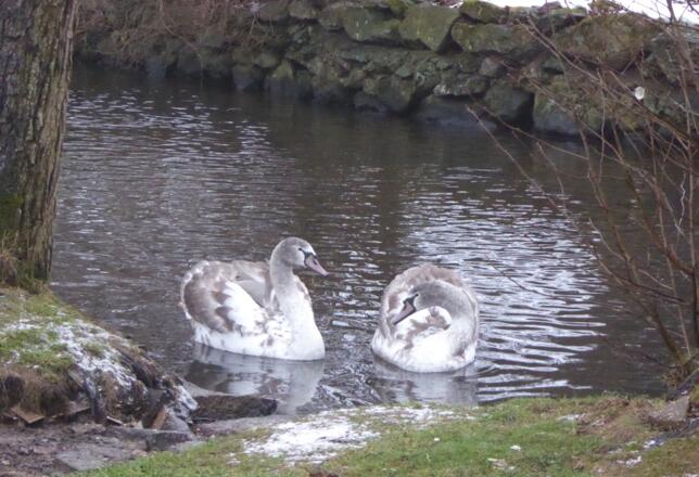 und wieder werden wir beobachtet :-)