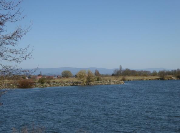 Donau
