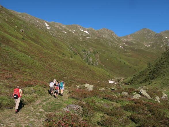 Aufstieg vom Wilfernertal entlang des Gampenbaches.