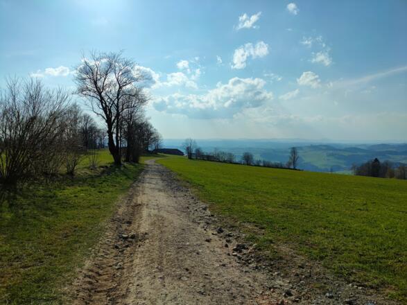 Feldweg nach der Siedlung