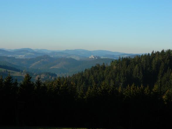 Blick zur Ruine Ruttenstein