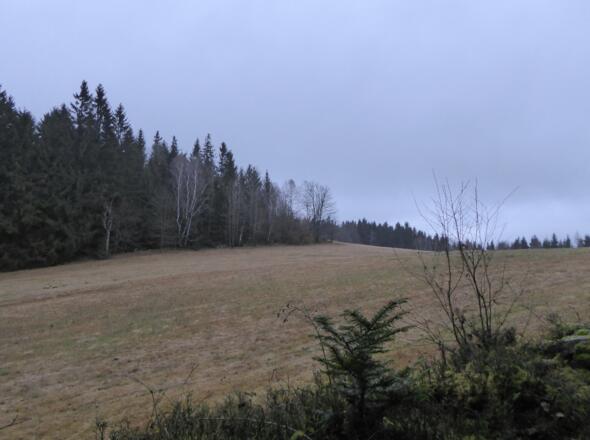 Zellerhöhe