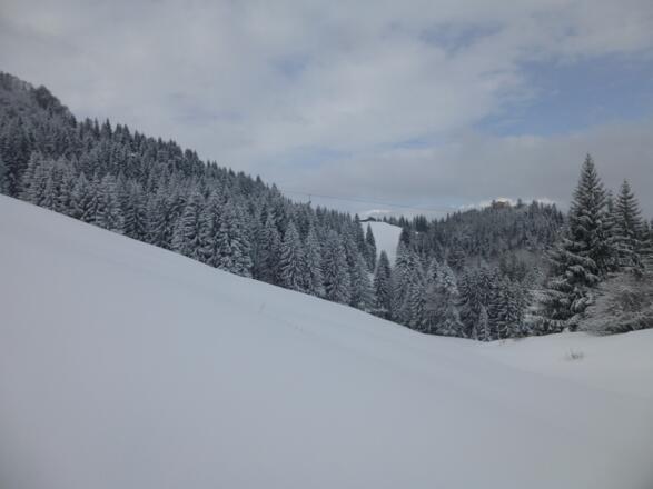 Blick zur Hochsiedel-Alpe