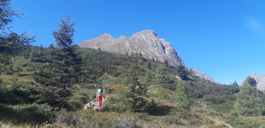 ... geht es Richtung Hahlkogehaus (im Hintergund die Hahlkögel, rechts unser Ziel, der Äußere Hahlkogel).