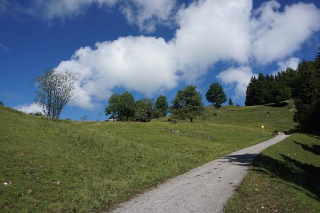 Steile Straße zur Hutzenalm