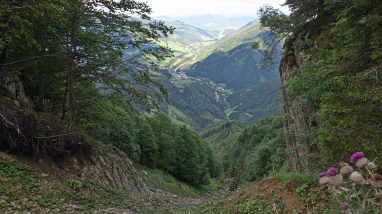 Einblick in den Gschliffner Graben