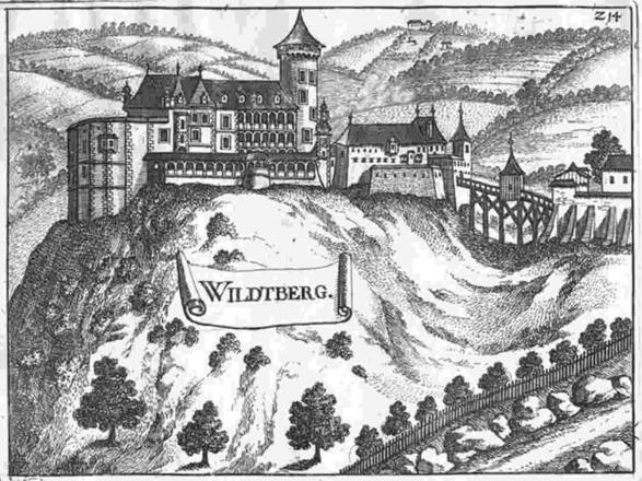 Schloss/Ruine Wildberg, Stich Vischer