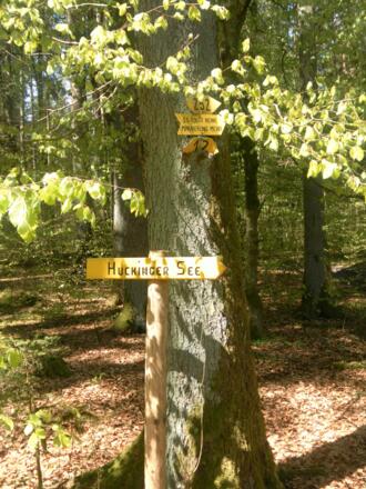 Start im Weilhartsforst bei Tarsdorf/Hofstatt