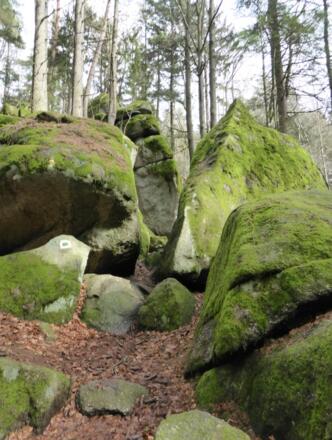 da geht der Weg druch...