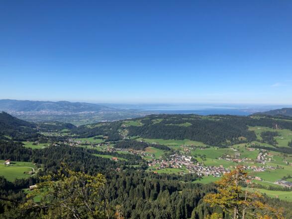 Vom Brüggelekopf richtung Bodensee