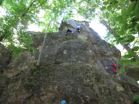 das Hohe Eck liegt fast immer im Schatten > Sommerkletterfels