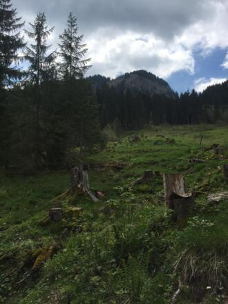 Weiter geht es auf einem schönen Wiesenweg