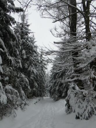 Wanderweg mit Tiefschnee