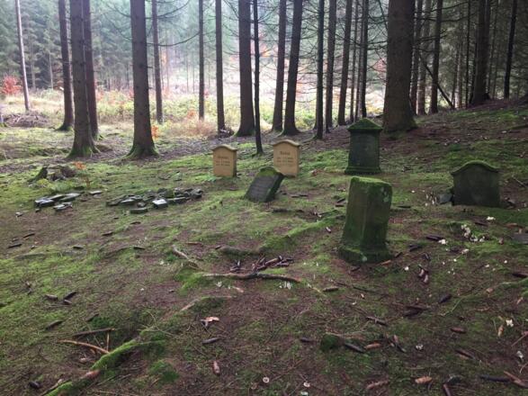 Alter Hundefriedhof