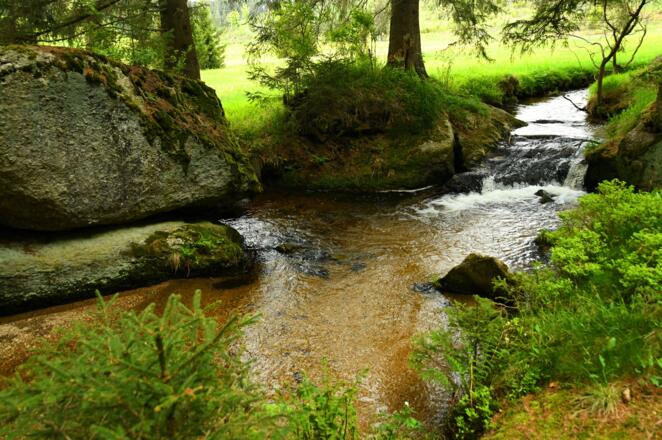 Wald- und Nußbach Zusammenfluß