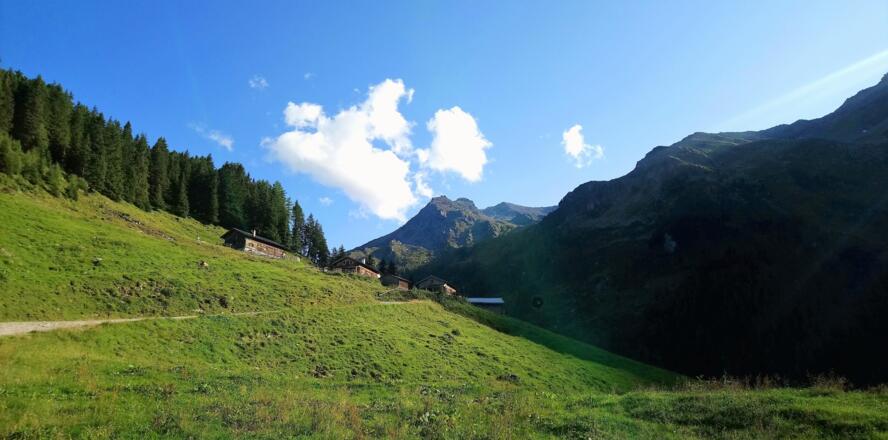 Das Rosenjoch, ganz hinten der höchste Punkt, im Vordergrund die Vorbergalm.