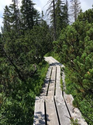 "Bohlenweg" durch das Zwieselter Filz