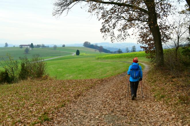 Blick Richtung Alm