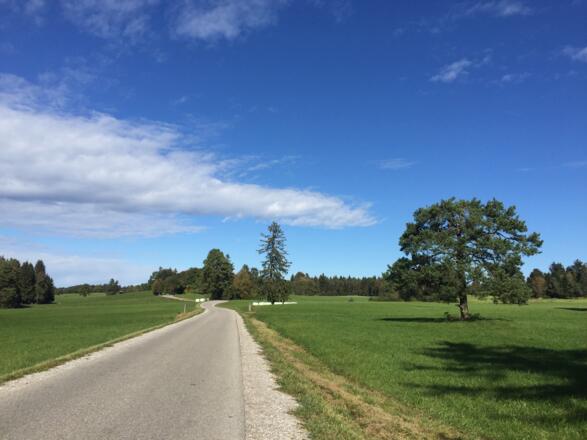 Gut Kerschlach Richtung Machtlfing