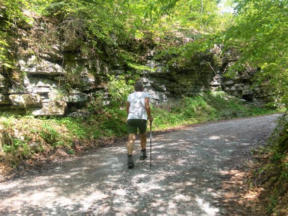 Forststraße zum Mühlstein