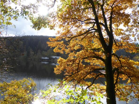 Höllensteinsee