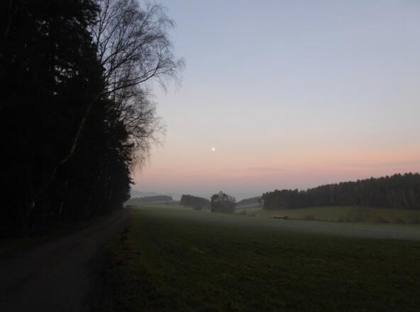 Blick zurück Richtung Neunburg