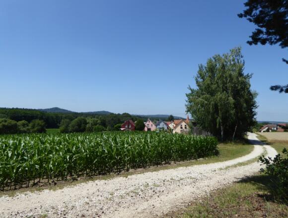 Blick auf Loderbach