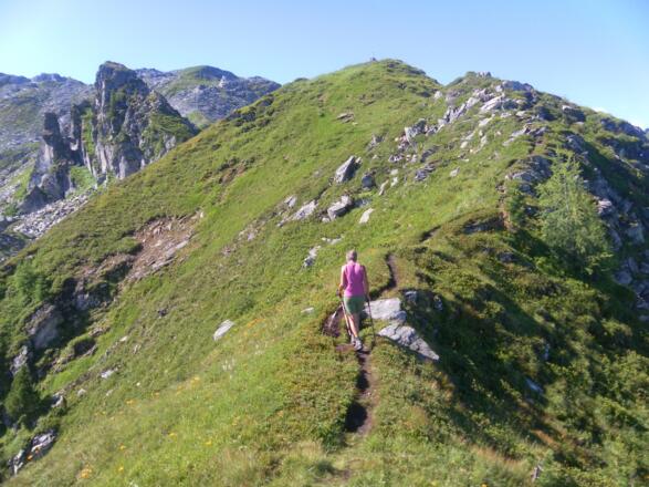 Elferkogel Gipfelrücken