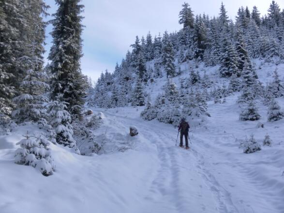 Hochglocker Westkamm