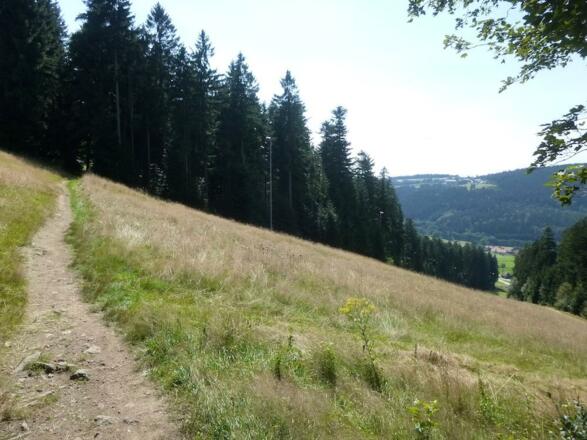Pröller-Skiabfahrt-Querung