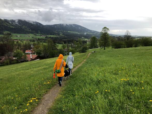 Auf dem Wiesenweg nach Marbach
