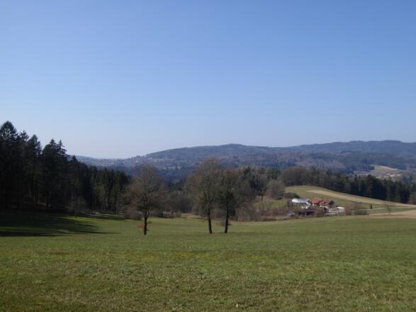 Blick zurück nach Saulburg von St. Johann aus