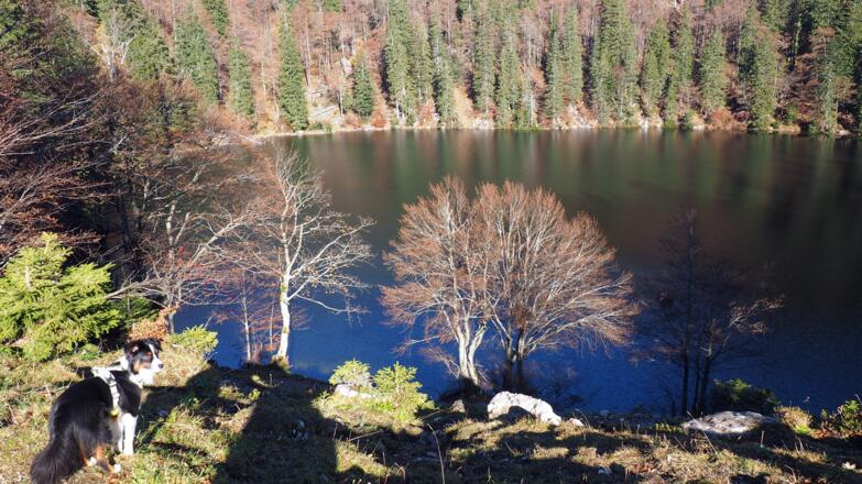 Mönichsee von Wegtafel 1300m gesehen