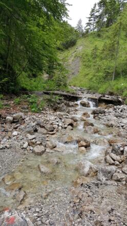 In der kleinen Schlucht 1/4