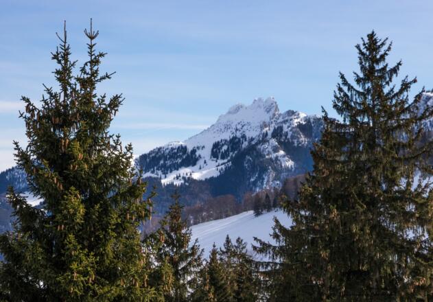 Ausblick auf