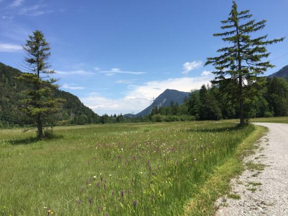Oberau Richtung Eschenlohe