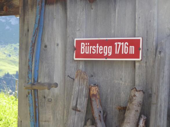 Schild