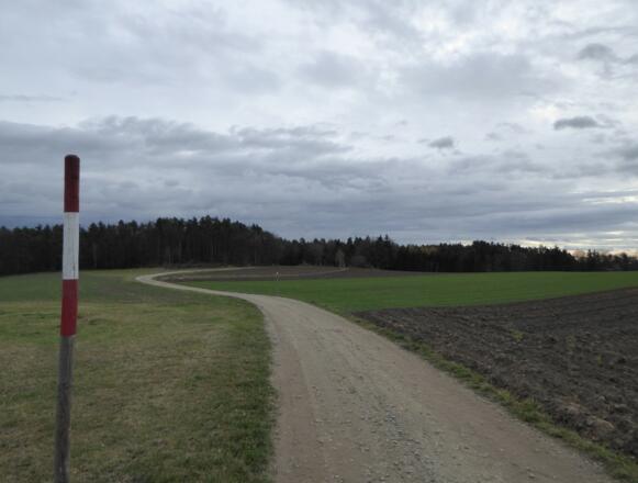 Blick auf den Weberberg (569 m)